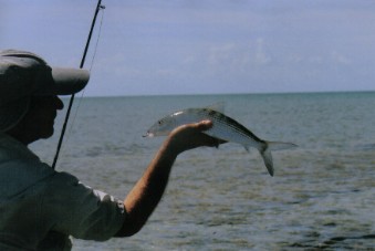 Bonefishing Acklins Island, Bahamas